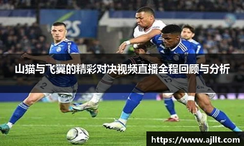 山猫与飞翼的精彩对决视频直播全程回顾与分析